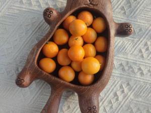 Original Design Cat hand-carved wooden